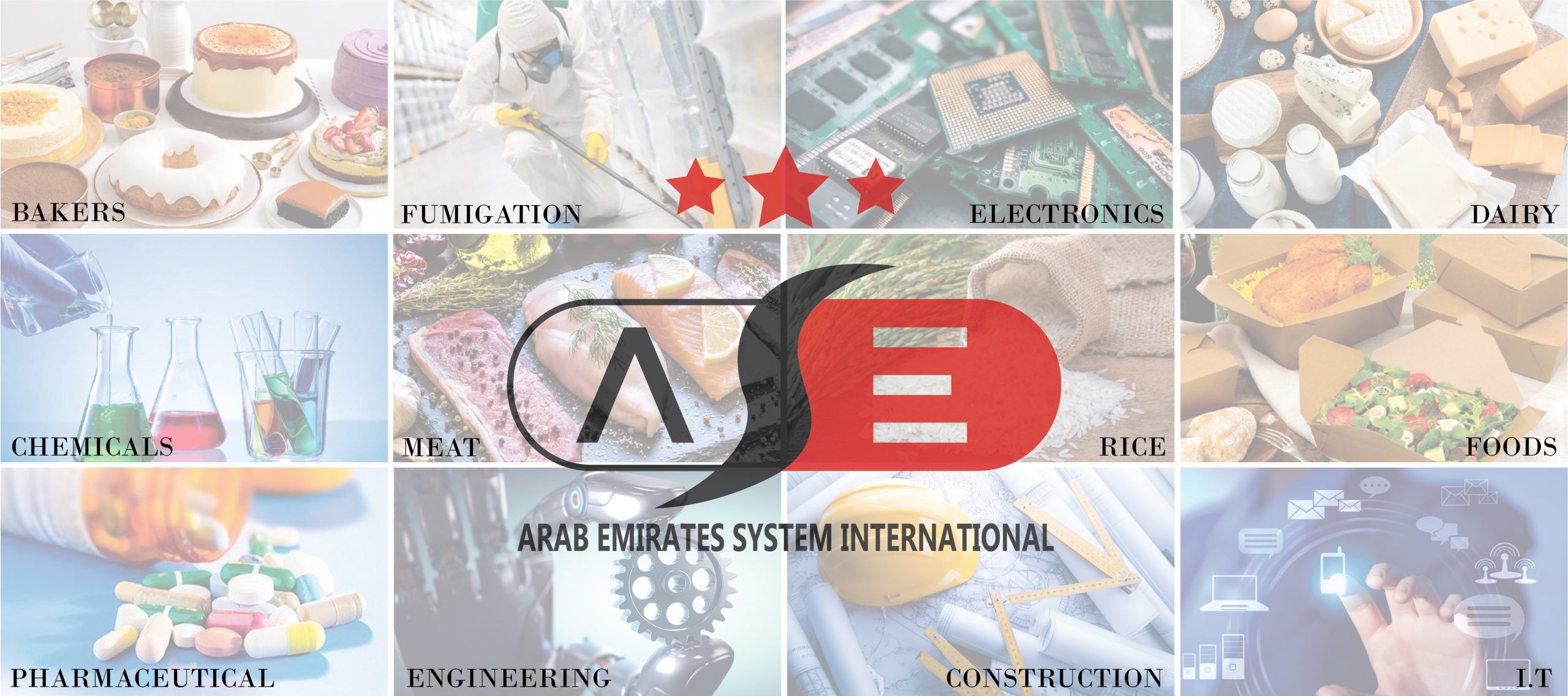 aesi-arab-emirates-system-international-sectors-iso-certification